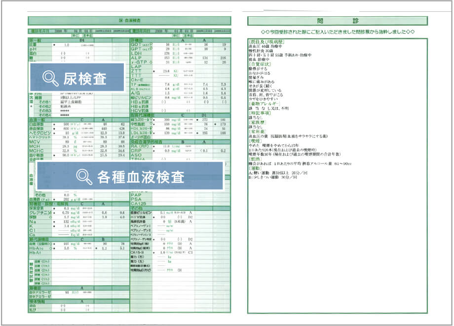 健診結果解説書 P5〜6