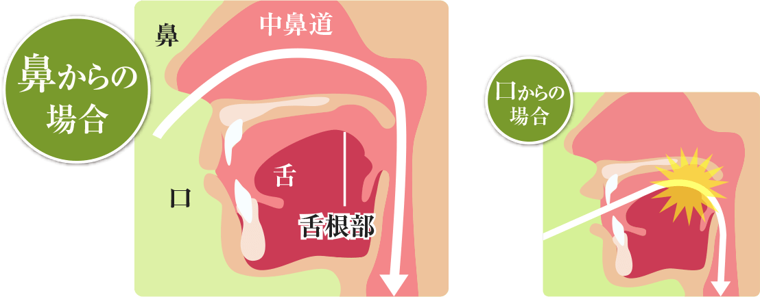 鼻からの場合